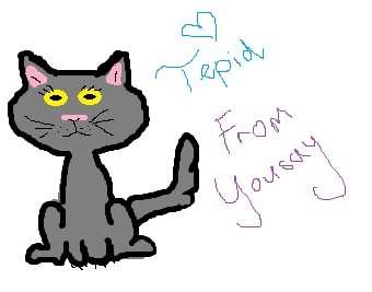 340x267 Ty Paint Drawings