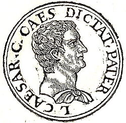 250x245 Gaius Julius Caesar Den Eldre Wikipedia