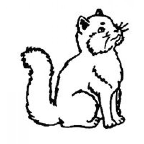 500x500 jumbo teacher stamper cat