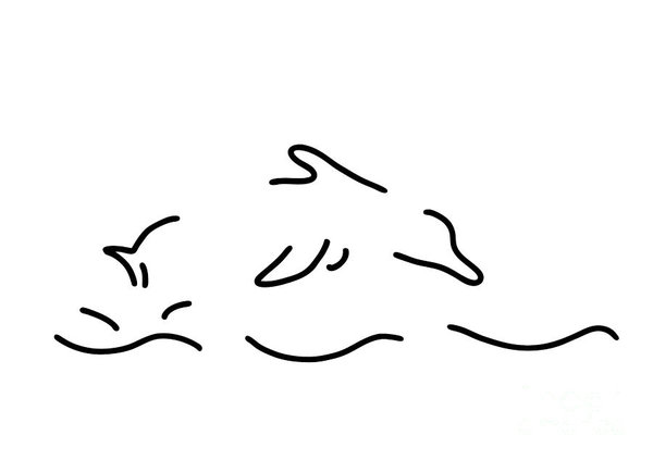 600x423 Jump Drawings