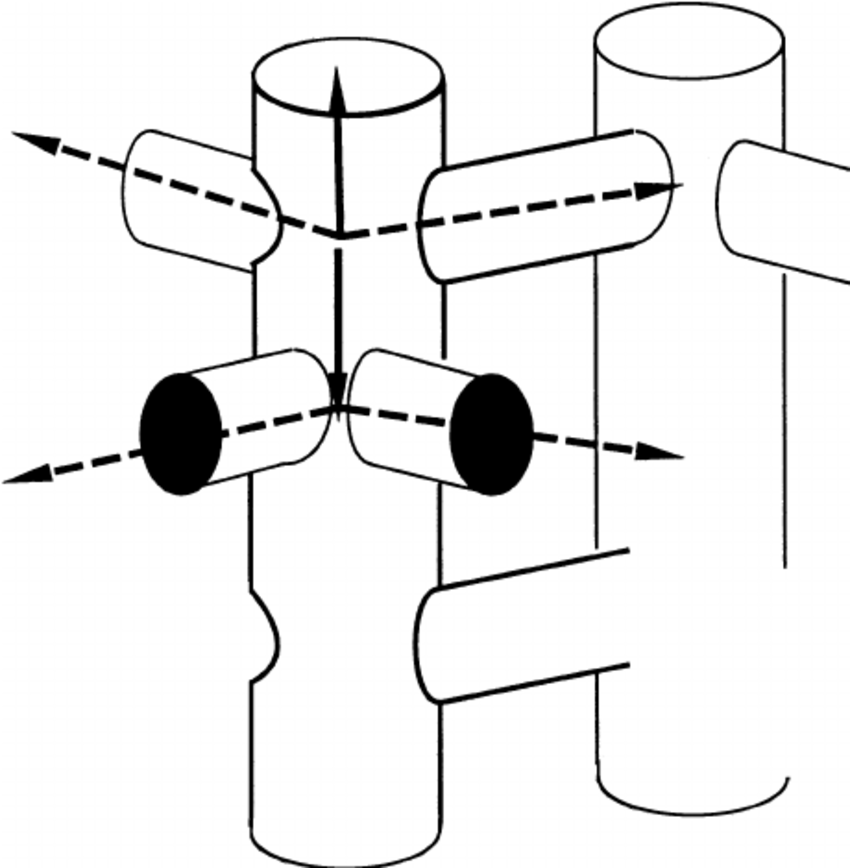 850x868 Schematic Drawing Of The Silicalite Pore Structure An Alkane Can