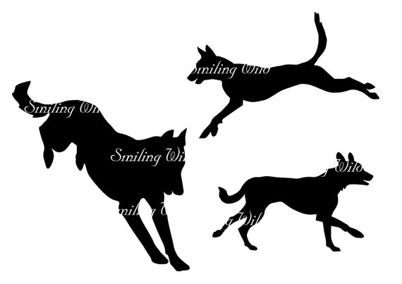570x403 Running Malionois Dog Clipart Jumping Dog Etsy