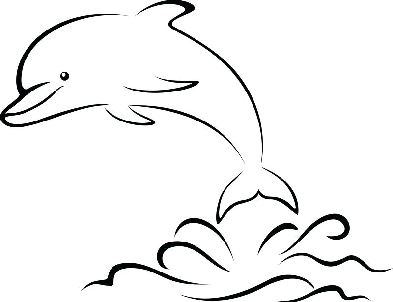 800x614 dolphins to draw how to draw a dolphin dolphins drawing