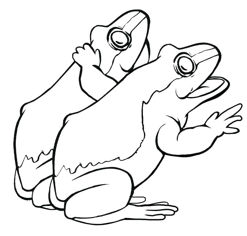 800x764 Leap Frog Coloring Pages Jumping Frog Coloring Pages Leapfrog