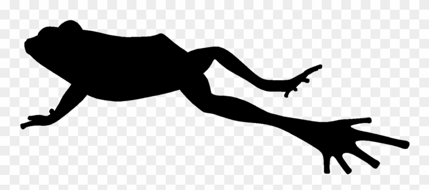 880x391 Silhouette Of Jumping Frog