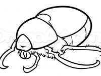 200x150 Easy Bugs To Draw