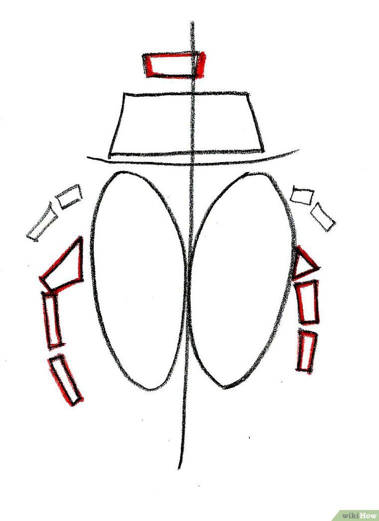 760x1045 How To Draw A Scarab Beetle Steps