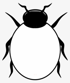 300x352 June Bug Drawing At Getdrawings