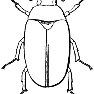 300x300 Mrscorpio's House Fire Podcast