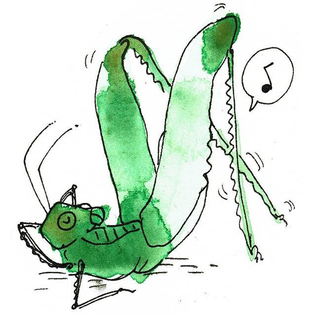 640x640 Adam Murphy On Twitter Day