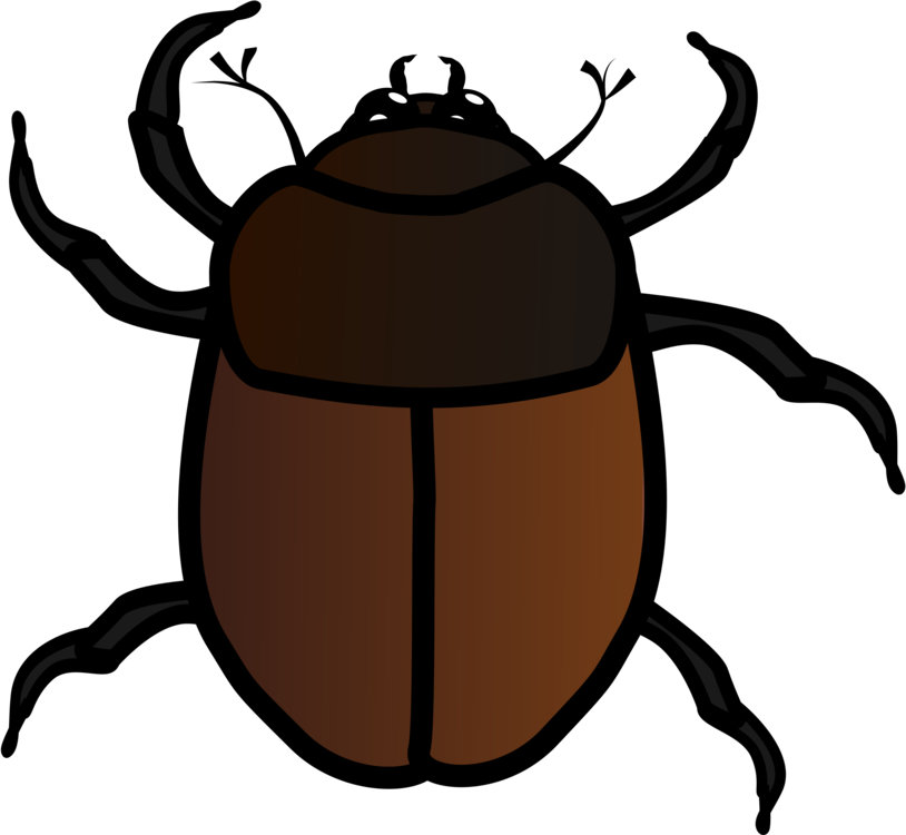 814x750 Beetle Melolonthinae Amphimallon Solstitiale Computer Icons