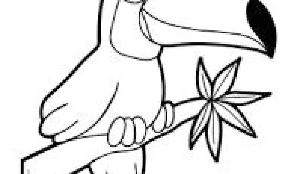 1024x600 Easy Drawing Jungle Best Rainforest Images Animal Drawings