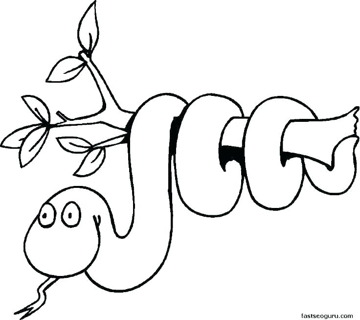 736x654 Jungle Animals Coloring