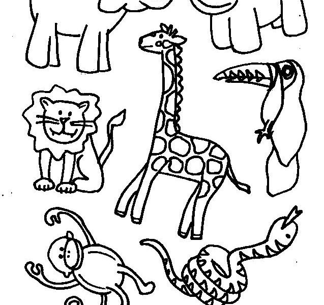 637x600 Jungle Animals To Colour Coloring