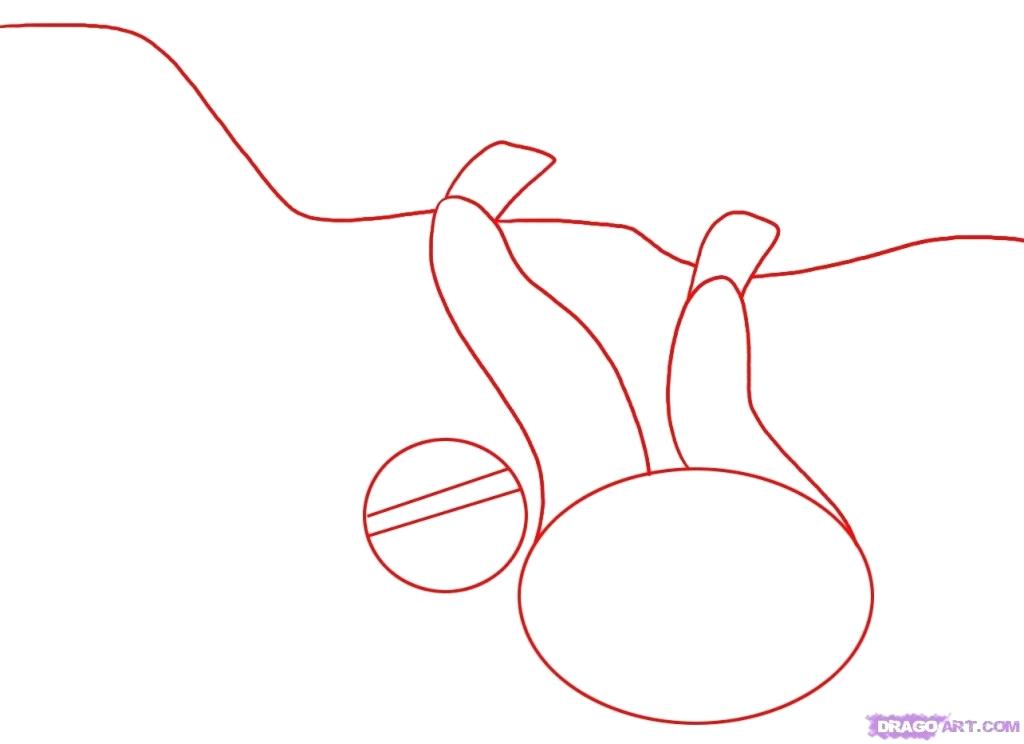 1024x744 How To Draw Rainforest Birds Easy To Draw Easy Draw Rainforest