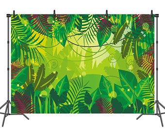 340x270 Jungle Backdrop Etsy