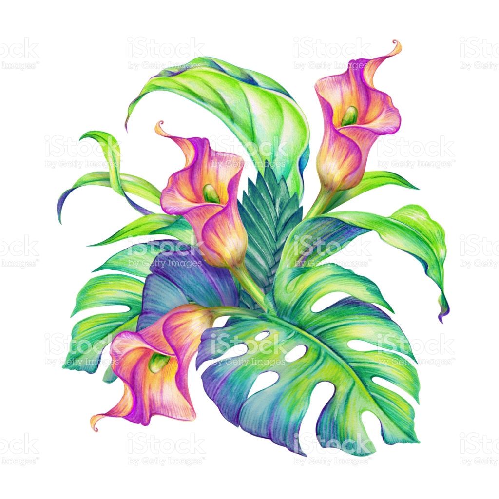 1024x1024 Abstract Tropical Nature, Exotic Flowers And Leaves, Watercolor