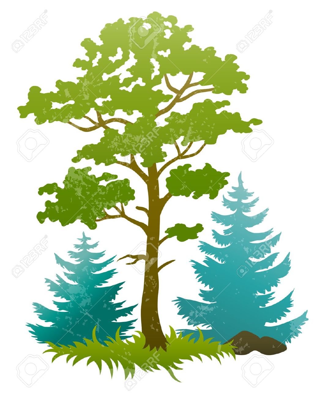 1049x1300 Green Forest Trees Clipart Clip Art
