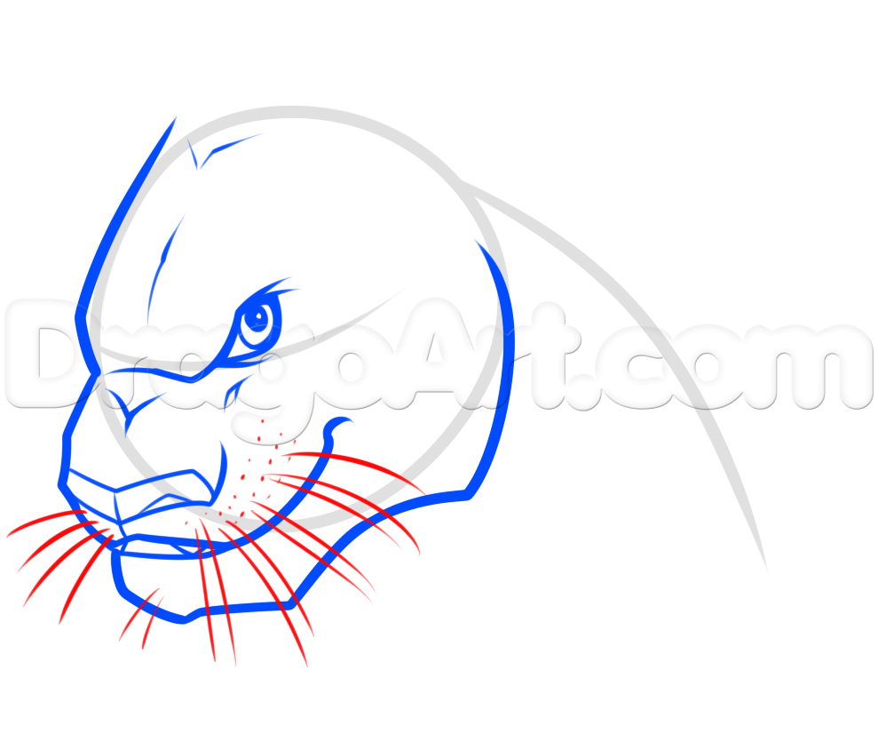 989x835 Drawing Bagheera From The Jungle Book, Step