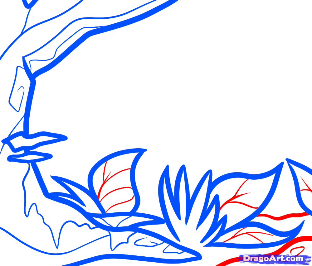 1000x854 How To Draw A Jungle For Kids, Step