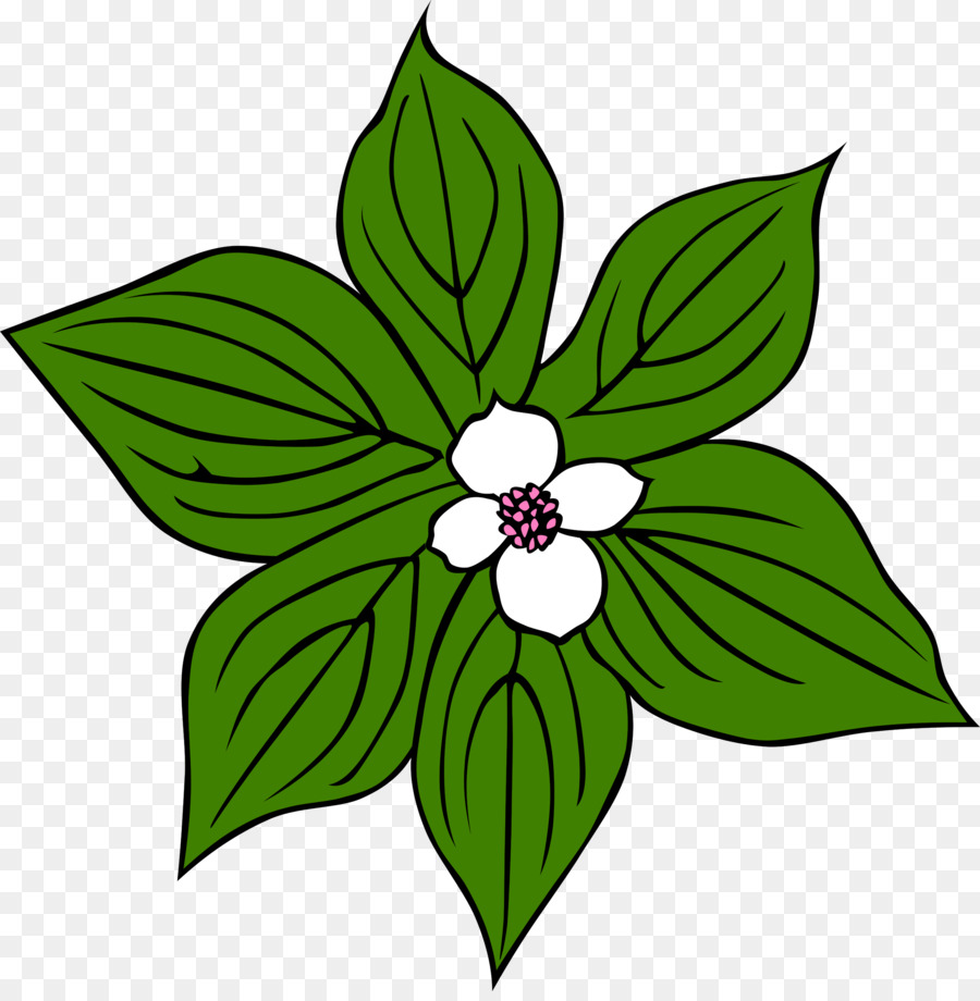 900x920 Jungle, Plants, Drawing, Transparent Png Image Clipart Free Download