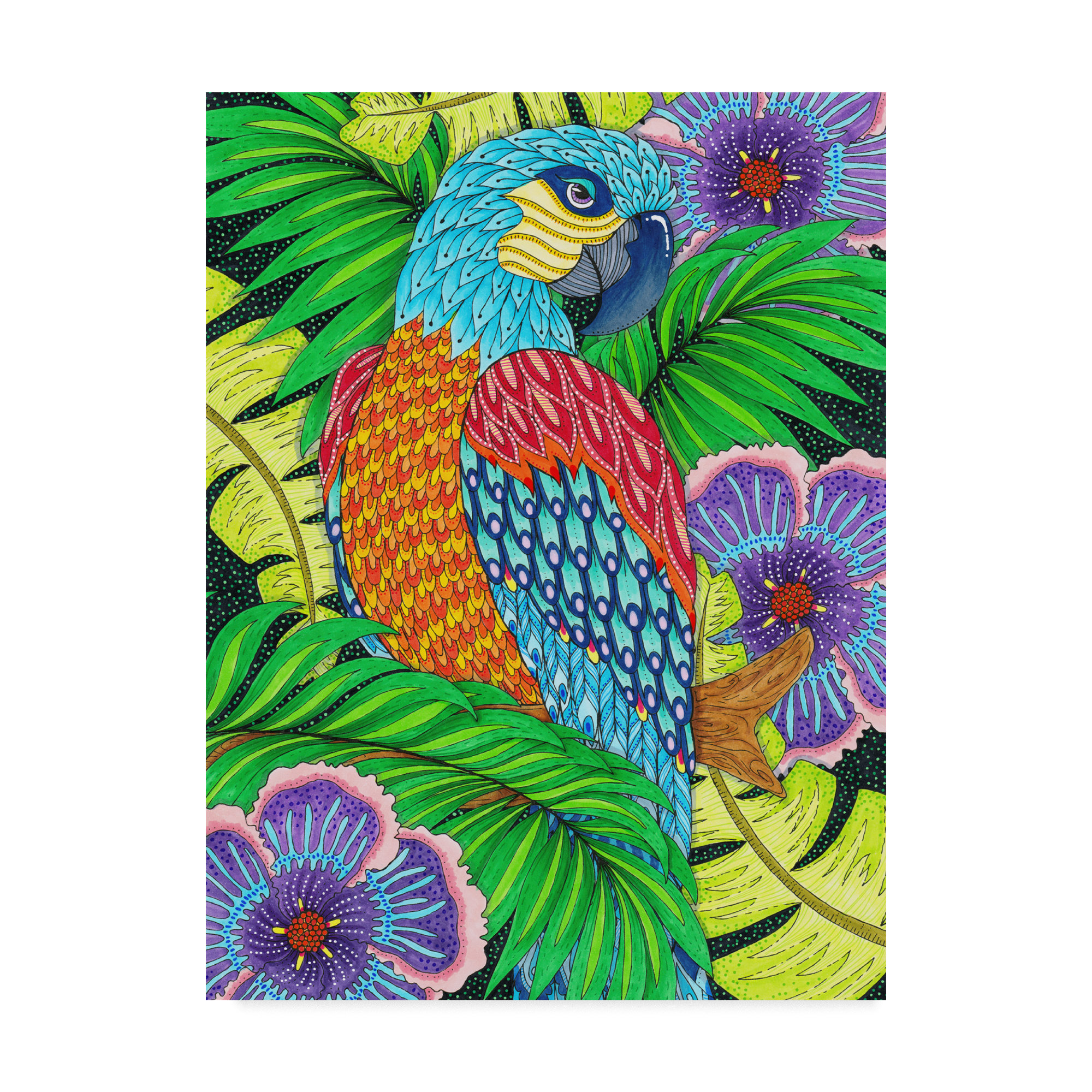 2000x2000 trademark art 'jungle parrot' drawing print on wrapped canvas
