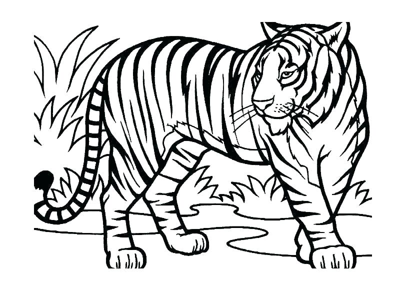 800x600 Jungle Book Coloring Pages Printable