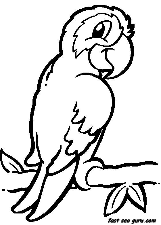 560x781 Jungle Bird Parrot Coloring Pages Printable For Kids Fun Time