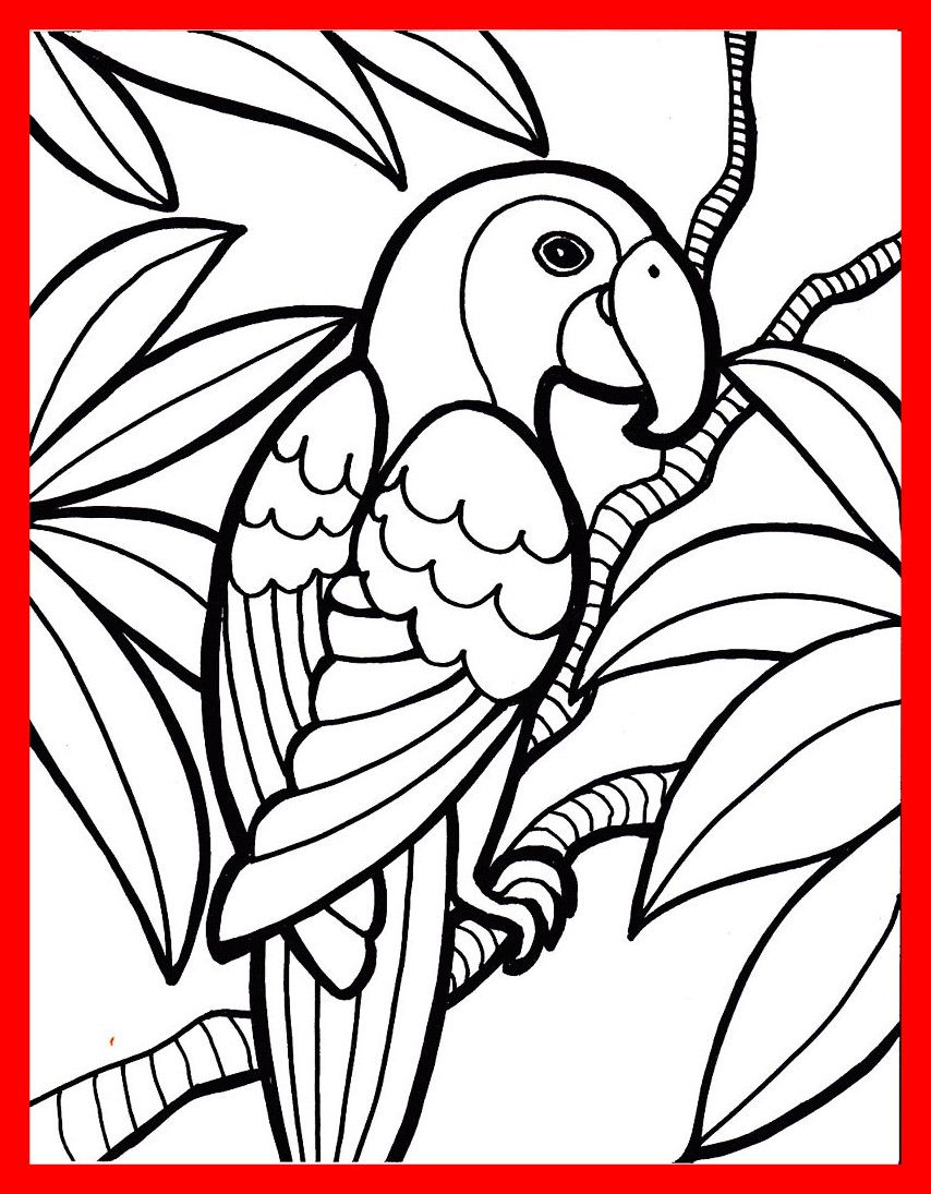 854x1095 Jungle Birds Coloring Pages