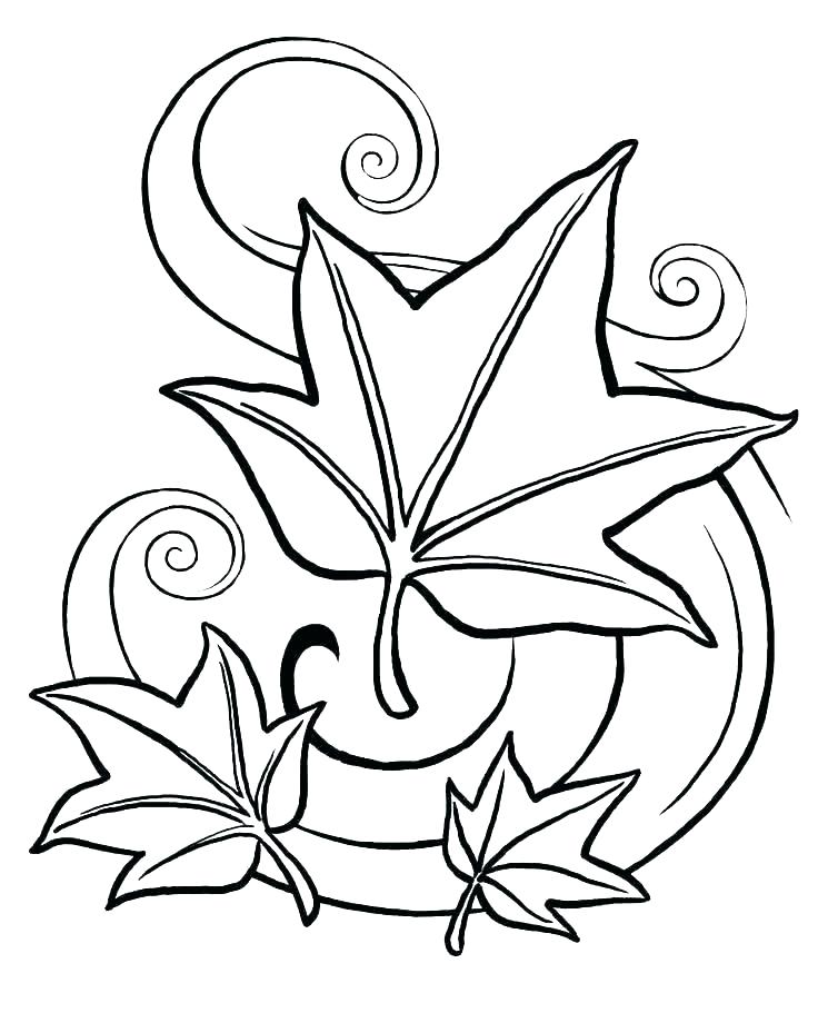 736x920 rainforest plants coloring pages related post rainforest plants