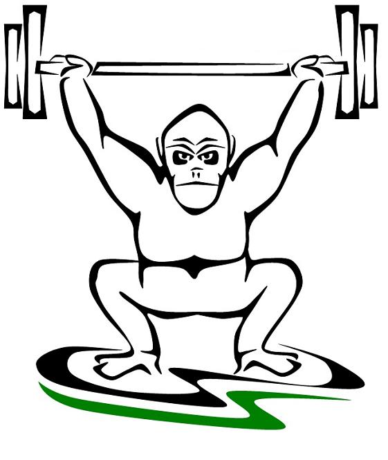 561x664 Crossfit Jungle Gym September Updates