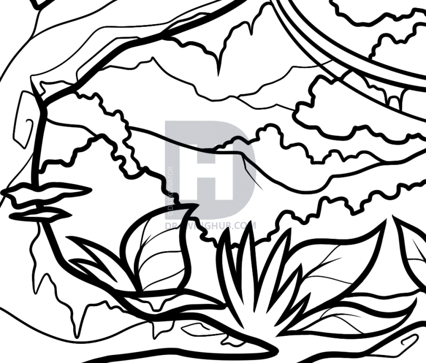 843x720 How To Draw A Jungle For Kids, Step