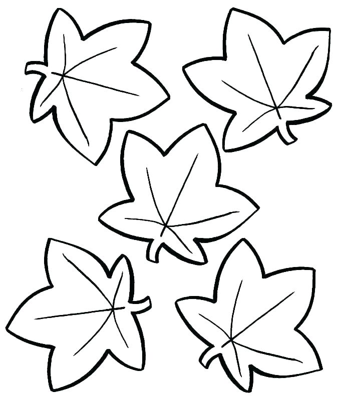 677x800 Jungle Leaf Coloring