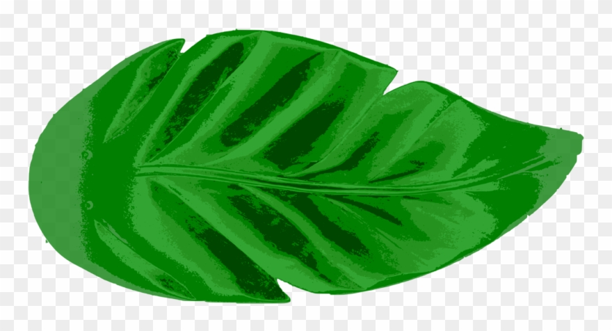 Jungle Leaf Drawing | Free download on ClipArtMag