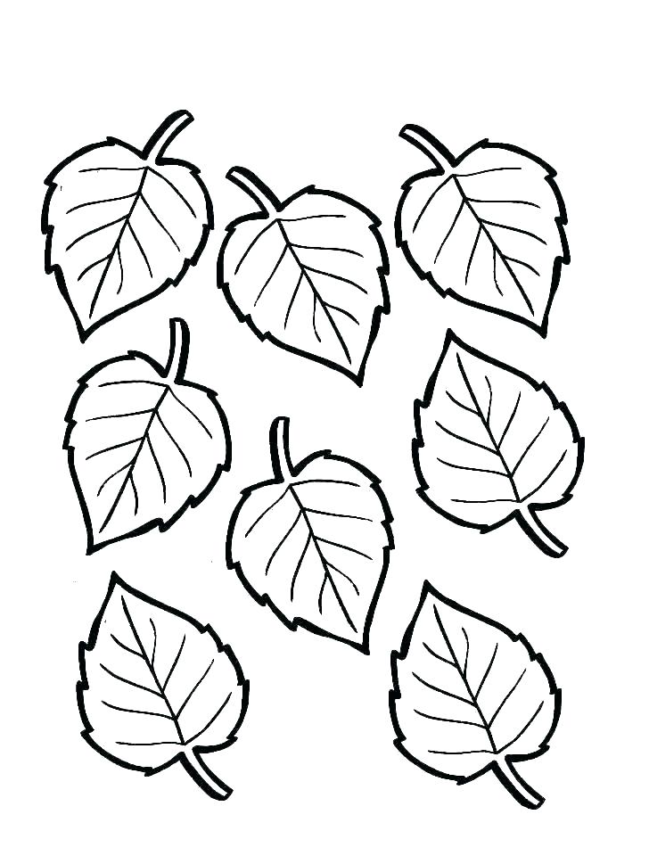 728x969 Leaves Printable Template Palm Leaf Drawing Coloring