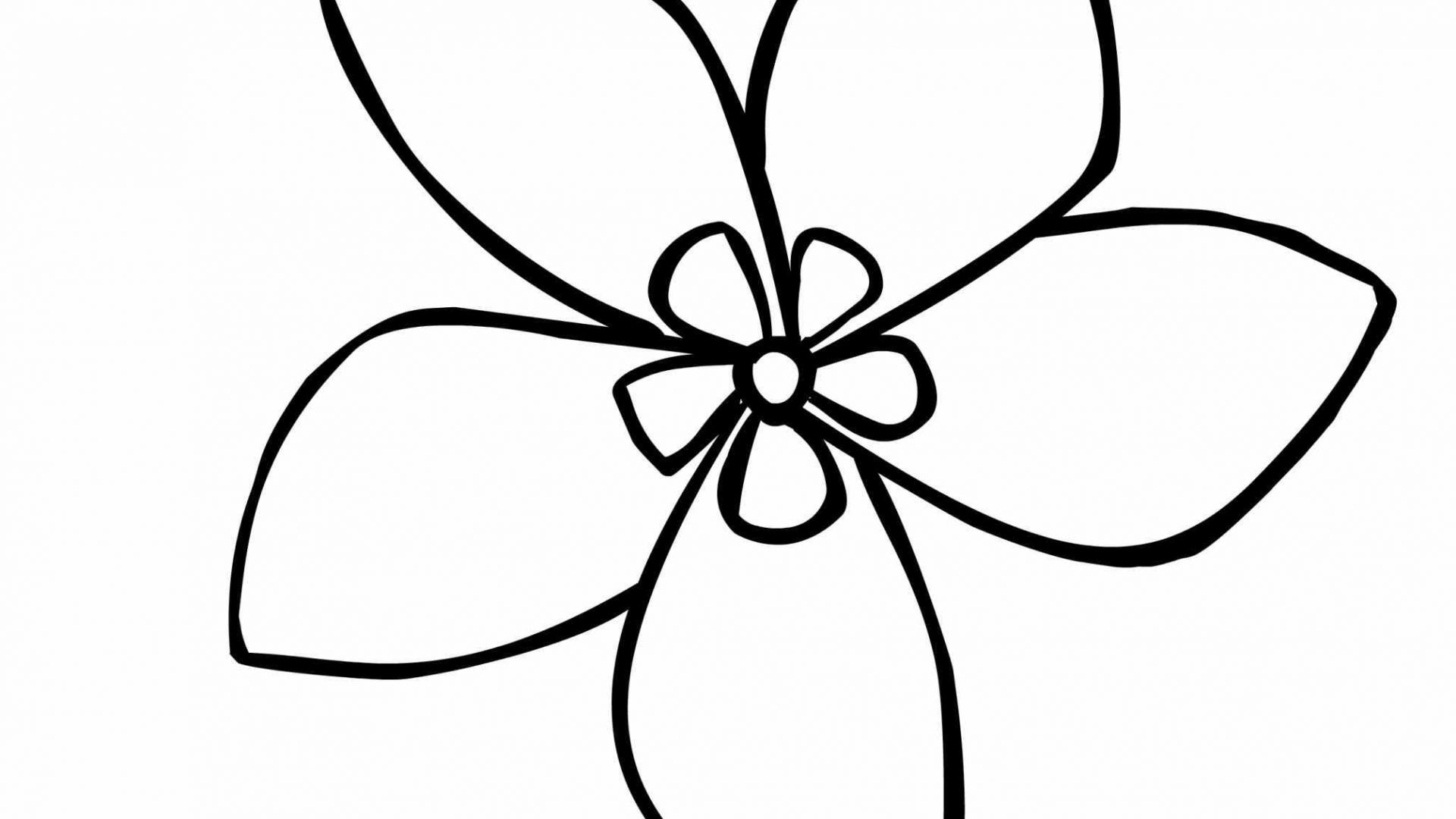 Ромашка цветок рисунок