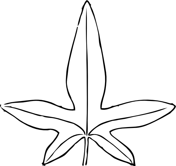 600x567 Collection Of Free Ivy Drawing Jungle Download On Ui Ex