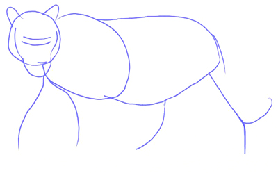 400x249 How To Draw A Tiger