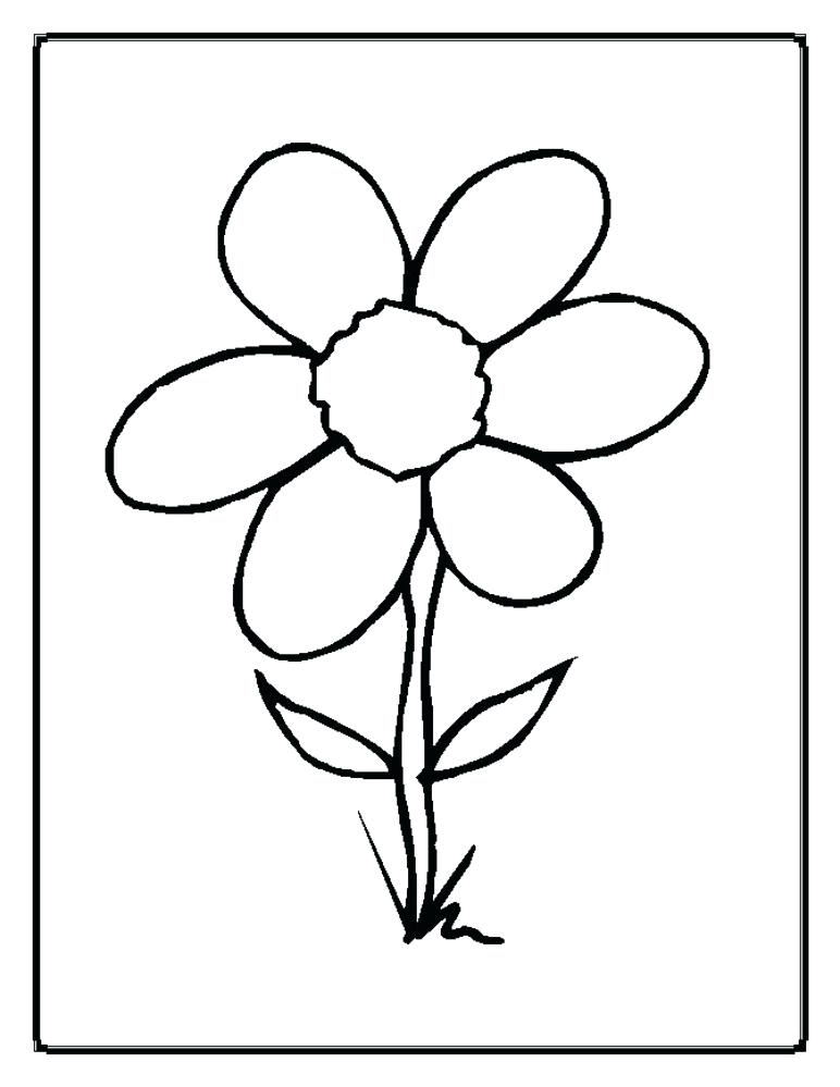 772x999 Plant Coloring Pages Drawn Jungle Plants Coloring Sheet Free