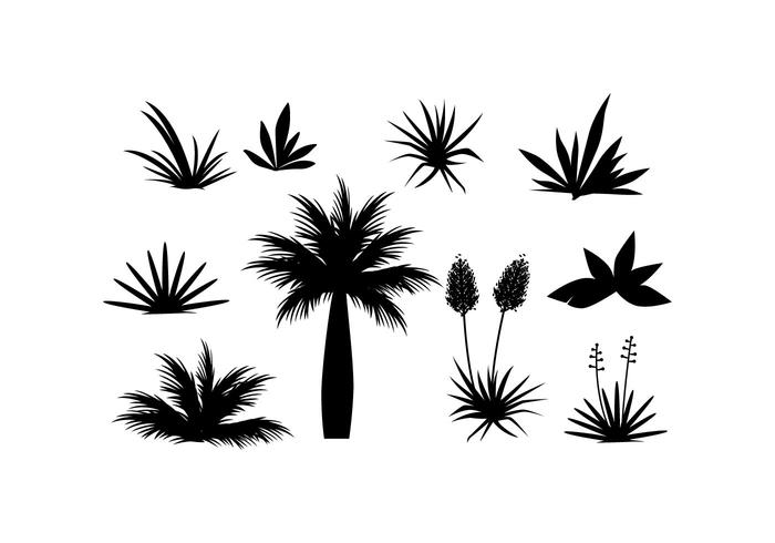 700x490 Plant Free Vector Art