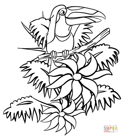 423x475 Tropical Rainforest Plants Coloring Pages Jungle Drawing At Simple