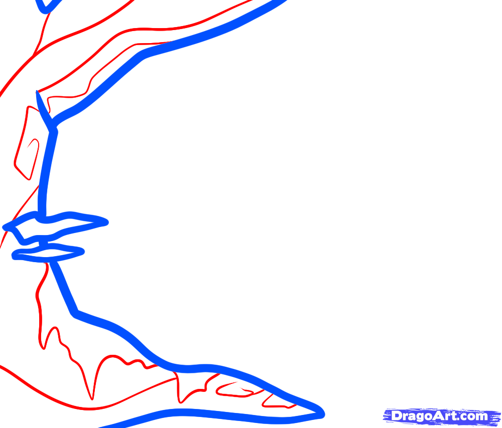 1000x854 How To Draw A Jungle For Kids, Step