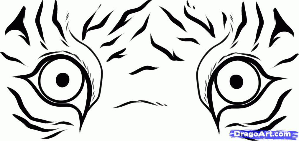 1014x480 Pictures Of The Rainforest Easy To Draw