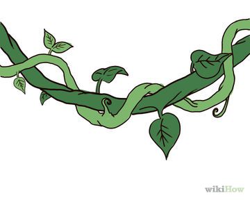 360x288 Draw A Jungle Vine Tiny Tots Vine Drawing, Jungle Drawing