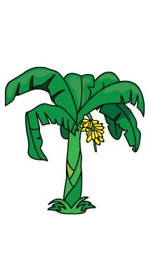 215x382 How To Draw A Banana Tree Unsorted Goodies! Drawings, Tree