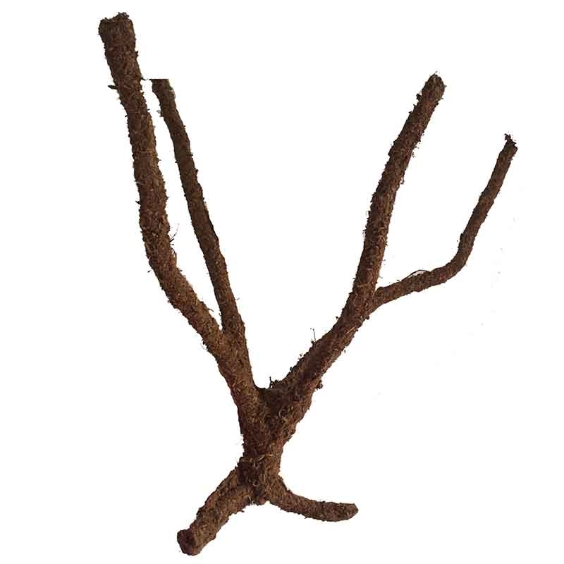 800x800 Jungle Tree Vine