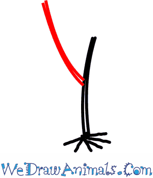 300x350 How To Draw A Juniper Tree