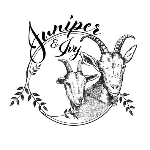 505x505 juniper ivy juniper ivy