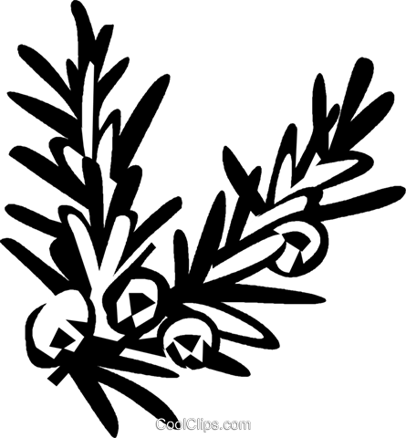 445x480 Juniper Royalty Free Vector Clip Art Illustration