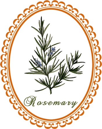 350x440 Juniper Drawing Free Download On New Vitruvian